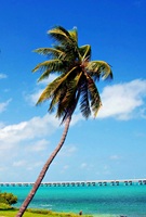 Bahia Honda State Park Florida USA 63